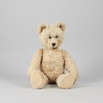 530244 Teddy bear